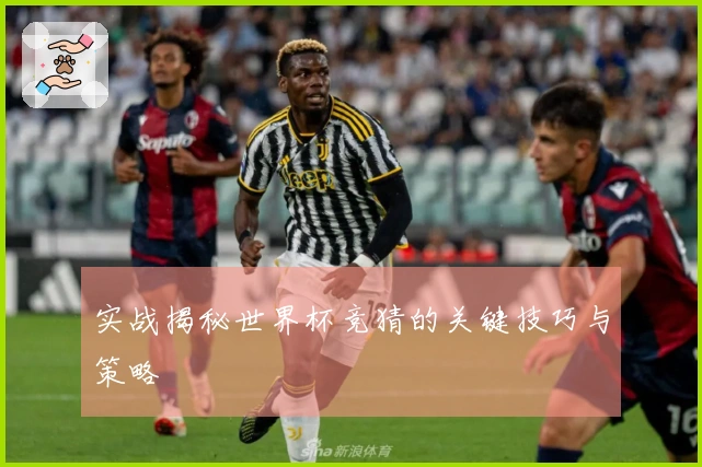 实战揭秘世界杯竞猜的关键技巧与策略