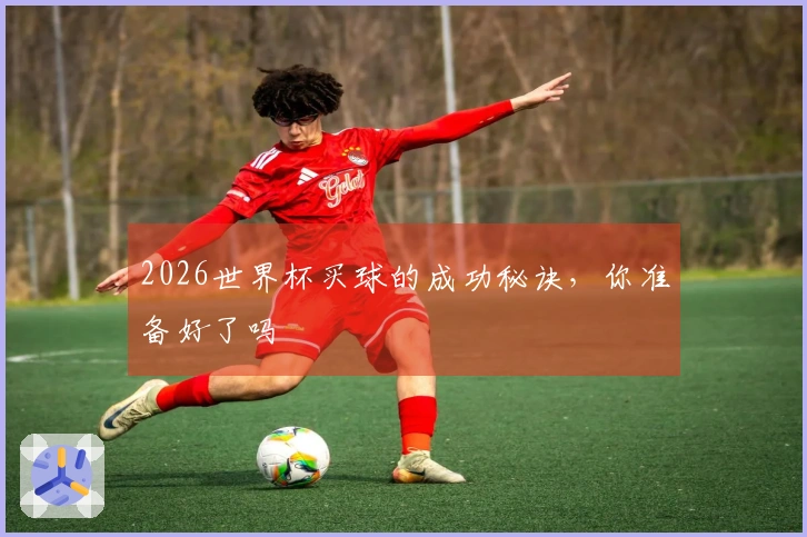 2026世界杯买球的成功秘诀，你准备好了吗