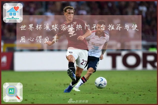 世界杯滚球买球热门平台推荐与使用心得分享