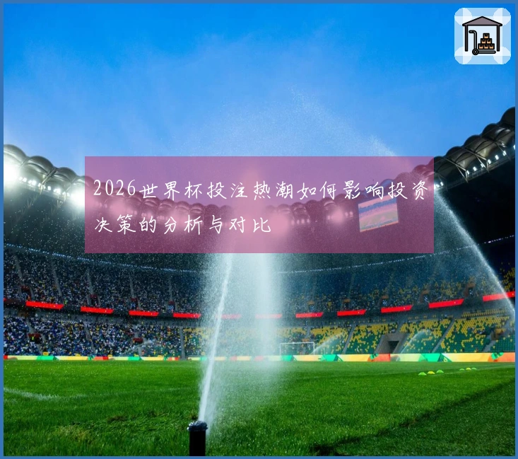 2026世界杯投注热潮如何影响投资决策的分析与对比