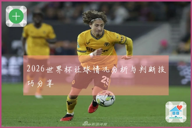 2026世界杯让球情况分析与判断技巧分享