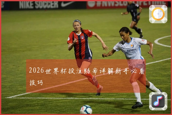 2026世界杯投注赔率详解新手必看技巧