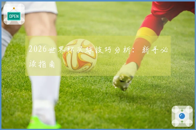 2026世界杯买球技巧分析：新手必读指南